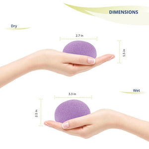 Konjac Sponge